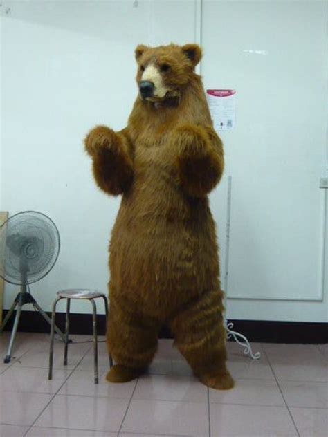 The Business of Grizzly Bear Mascot Costumes: Behind the Scenes of Manufacturing and Sales